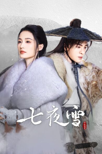 Snowy Night: Timeless Love (2024)